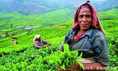 料羅灣海戰 明朝水師重挫荷蘭艦隊，東亞海權爭奪戰的歷史轉折